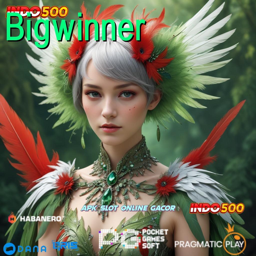 Bigwinner